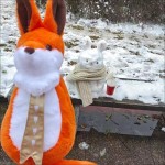 fox backpack