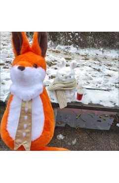 fox backpack