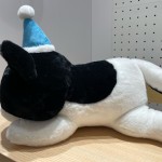 Oreo pillow